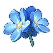 Forget-Me-Not